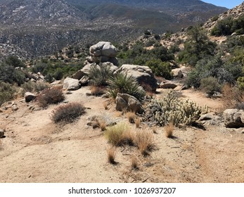 Desert View At Santa Rosa And San Jacinto Mountains National Monument, CA.