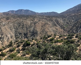 Desert View At Santa Rosa And San Jacinto Mountains National Monument, CA.