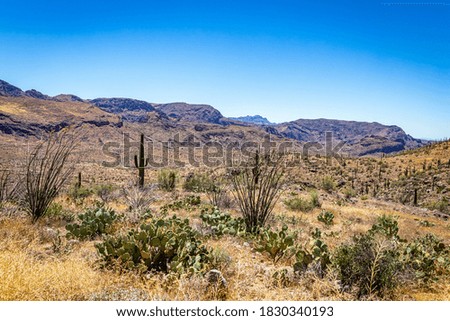 Similar – Superstition Mountains