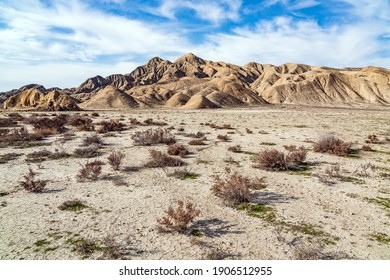 Deserted area overlooking the mountains - Shutterstock ID 1906512955