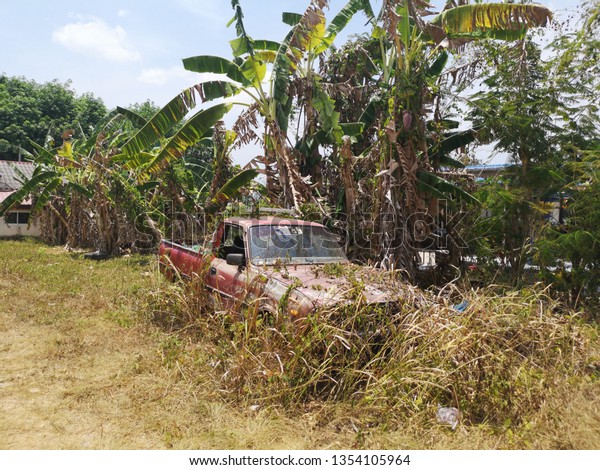 deserted car in\
jungle