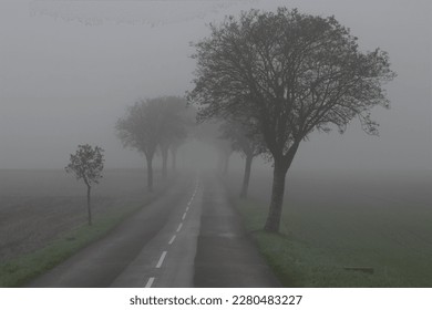 Deserted country road in dense fog, road safety, poor visibility	
