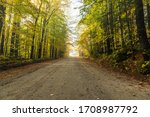 Deserted dirt road through a deciduous forest shrouded in morning fog in autumn. Waterbury, VT, USA.