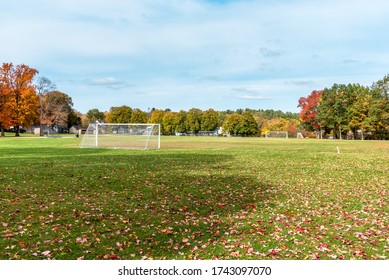 Deserted football pitch covered in fallen leaves in a park on a sunny autumn day - Powered by Shutterstock