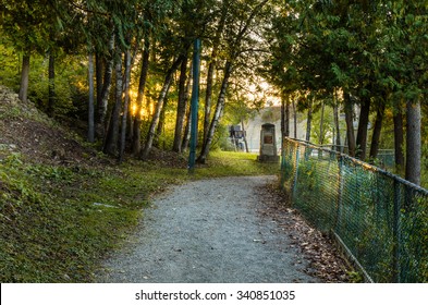 Deserted Forest Path at Sunset