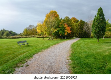 Deserted gravel footpath lined with benches and picnic tables leading through woods in a park under stormy sky in autumn - Shutterstock ID 2201906927