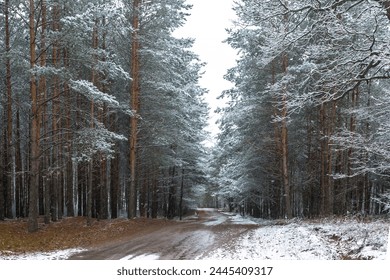 Deserted icy road through a snowy forest on a winter day. - Powered by Shutterstock