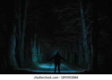 Walking Forest Alone Stock Photo (Edit Now) 1504066919