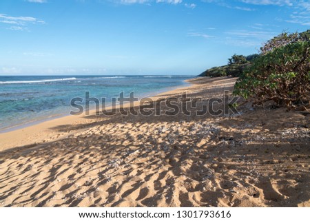 Deserted sandy Larsen's Beach near Pakala point on Kauai