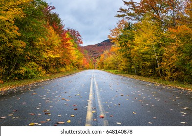 Deserted Straight Mountain Road on a Rainy Autumn Day. Some Fallen Leaves are on the Wet Asphalt. Beautiful Fall Colors. Adirondacks, Upstate New York - Powered by Shutterstock