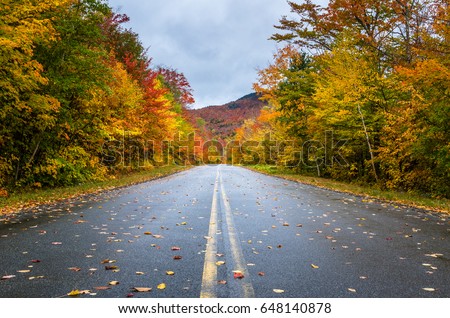 Deserted Straight Mountain Road on a Rainy Autumn Day. Some Fallen Leaves are on the Wet Asphalt. Beautiful Fall Colors. Adirondacks, Upstate New York
