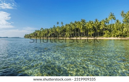 Deserted tropical beach lined with palm trees