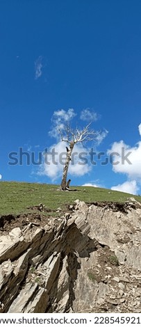 Deserted white tree standing alone and saying hello to the passing by clouds in Bhagtore  of Gurez Valley India