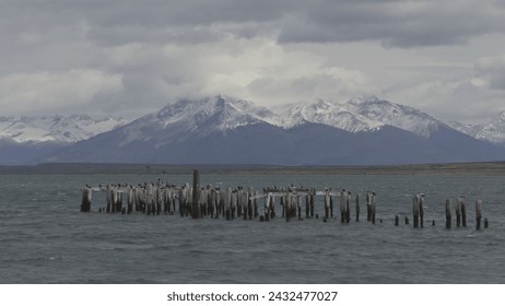 Deserted wooden pier in Puerto Natales with birds and a backdrop of snowy mountains and glaciers. - Powered by Shutterstock