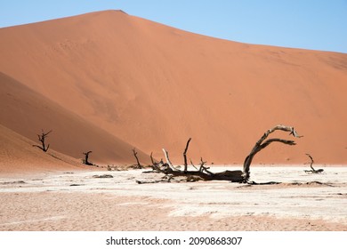 Desertic Landscape With No People. Deadvlei. Namib-Naukluft Park In Namibia. Africa