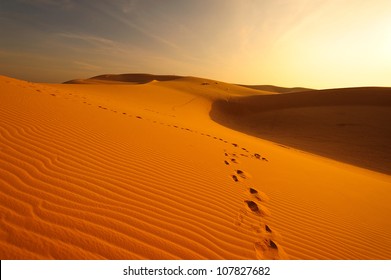 Deserts and Sand Dunes Landscape at Sunrise
 - Powered by Shutterstock