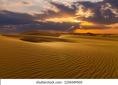 22,907 Desert footprint Images, Stock Photos & Vectors | Shutterstock