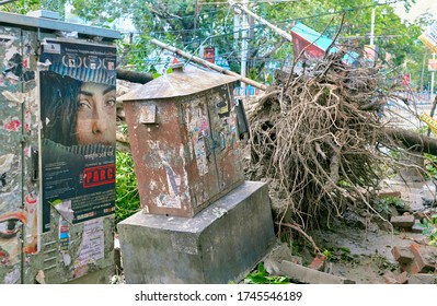 Deshapriya Park, Kolkata, 5/22/2020 : The Day After Cyclone Amphan Hit The City. A Large Uprooted Tree Seen With Exposed Roots, Which Also Damaged A Nearby Electric Meter Box And Pavements On Ground.