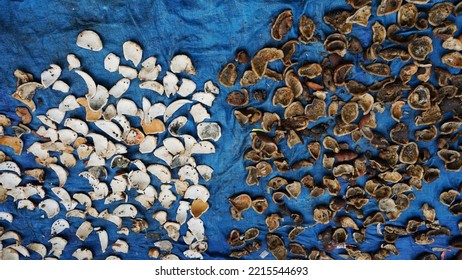 Desiccated Coconut (copra) On A Blue Tarp