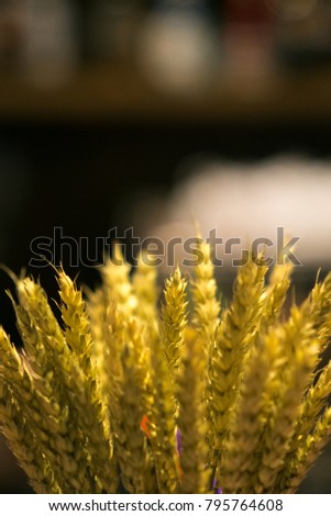 design bouquet of dried flowers in interior, clouseup