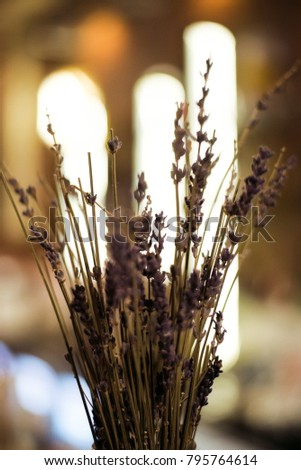 design bouquet of dried flowers in interior, clouseup