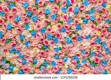 Design concept - colorful flower wall with pink, purple, blue, yellow rose for design background texture