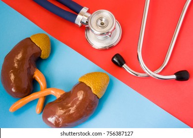 Design concept of diagnosis and detecting diseases of urinary & endocrine system organ - kidneys and adrenals. Stethoscope and model of kidneys and adrenals are opposite  on red and blue background