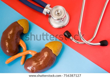 Design concept of diagnosis and detecting diseases of urinary & endocrine system organ - kidneys and adrenals. Stethoscope and model of kidneys and adrenals are opposite  on red and blue background