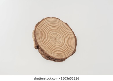 Design Concept - Top View Of Circular Wood Piece With Annual Ring Isolated Float In Air On White Background For Mockup, It's Real Photo, Not 3D Render