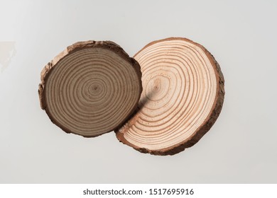 Design Concept - Top View Of Circular Wood Piece With Annual Ring Isolated Float In Air On White Background For Mockup, It's Real Photo, Not 3D Render