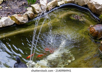 Design Home Decorative Pond Decoration Small Stock Photo 2140984941 ...