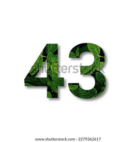 Design number 43 with leaf texture on white background.