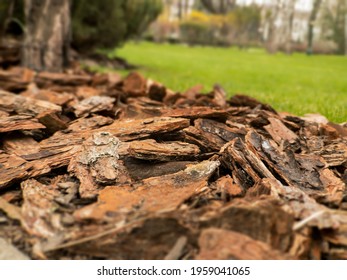 Design Design Of Puddles Of Mulch From Natural Pine Brown Bark Close-up. Mulch Is An Element Of Landscape Design Of Plots.