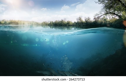 Design template with underwater part - Shutterstock ID 264273713