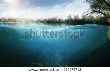 Design template with underwater part
