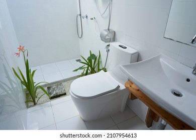 Design White Bathroom Open Shower Toilet Stock Photo 2107954613 ...