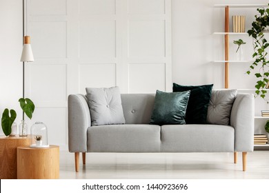 Designed Gray Couch Wooden Legs Modern Stock Photo 1440923696 ...