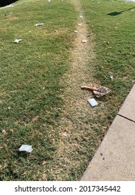 Desire Path Surrounded By Litter