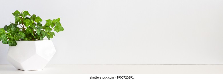 884,747 White wall plant Images, Stock Photos & Vectors | Shutterstock