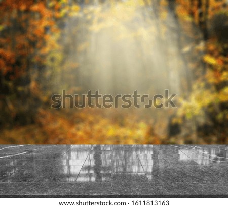 Similar – Image, Stock Photo In autumn * Calm Nature