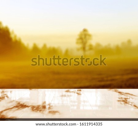 Similar – Morning mood 4 Fog Light