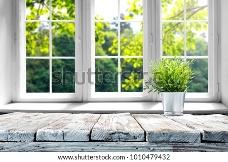 Desk of free space with green plant and window of spring time 