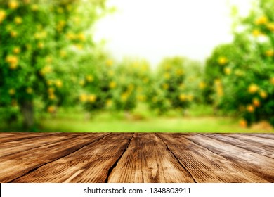 Desk of free space for your decoration and spring blurred background  - Powered by Shutterstock