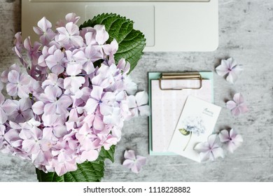 Desktop flatlay: laptop, notebook, hydrangea flowers and petals lying on gray marble background