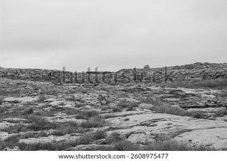 A desolate landscape with a large rock formation and a tree in the distance. The sky is cloudy and the overall mood of the image is somber and lonely