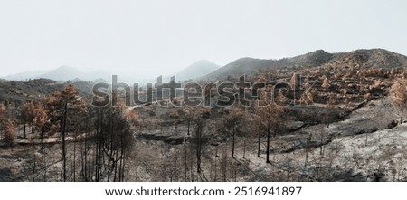 Desolate landscape showing the devastating aftermath of a wildfire near Arakapas village. Limassol District, Cyprus