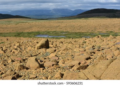 Desolate rocky landscape