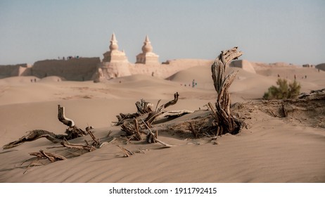 The Desolate Ruin Of Black City Dead Tree Inner Mongolia Alexa Ejin Banner