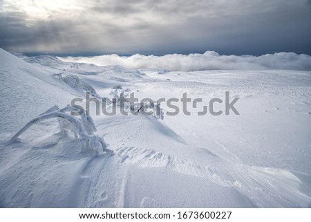 A desolate winter mountain landscape with frosted plants in the foreground and sunlight through overcast clouds in the background