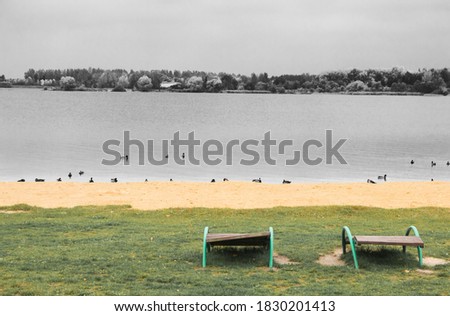 despondency autumn concept. Empty beach by the water with empty sun loungers. Only ducks. Photo
